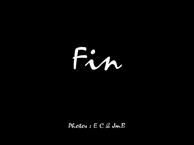 ZFIN.jpg