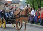 _DSC8987
