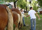 DSC02338