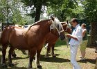 DSC02347