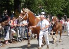 DSC02350