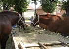 DSC02354