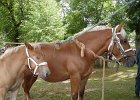 DSC02355