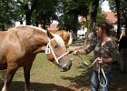 DSC02358