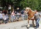DSC02360