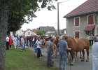 DSC02367