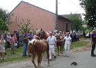 DSC02371