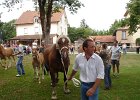 DSC02373