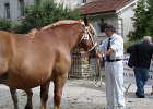 DSC02374