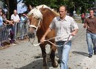 DSC02375