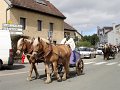 DSC07501