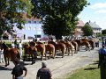 DSC07735b