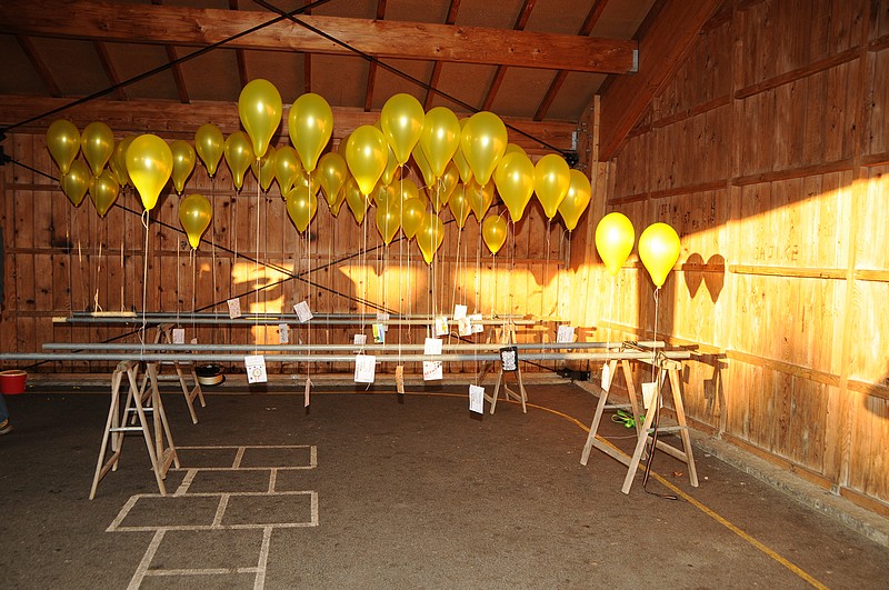 Telethon2015-0175.jpg
