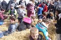 Choeufs18-0038