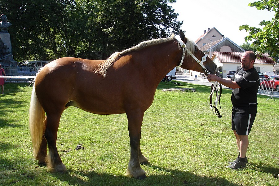 Comtois-0135 - copie.jpg