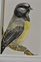 Aquarelle-0056