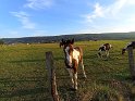 Fondue24-0025