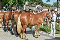 Comtois25-0028