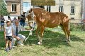 Comtois25-0054