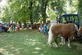 Comtois25-0085