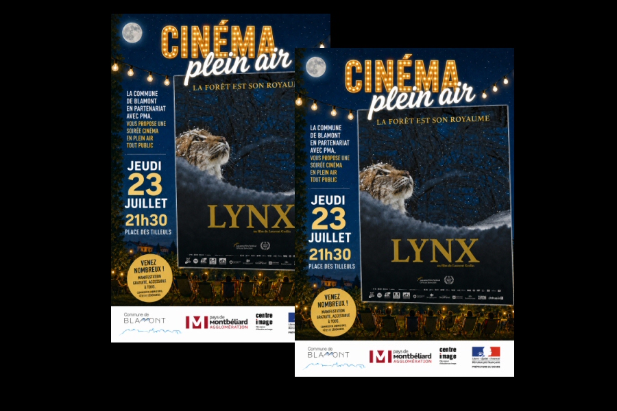 ACine26.jpg