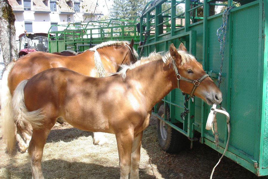Comtois26-0053.jpg
