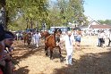 Comtois26-0043