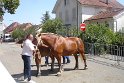 Comtois26-0058