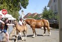 Comtois26-0069