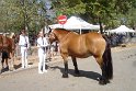 Comtois26-0074