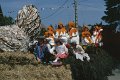 Chars_1982_poule01